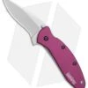 Kershaw Scallion Assisted Opening Knife Purple (2.25" Bead Blast) 1620PUR 1 Kershaw Scallion Assisted Opening Knife Purple (2.25" Bead Blast) 1620PUR -Knife Sale Shop Kershaw Scallion purple bb BHQ 14804 er