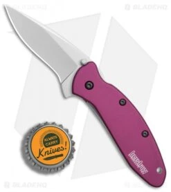 Kershaw Scallion Assisted Opening Knife Purple (2.25" Bead Blast) 1620PUR 9 Kershaw Scallion Assisted Opening Knife Purple (2.25" Bead Blast) 1620PUR -Knife Sale Shop Kershaw Scallion purple bb BHQ 14804 er bottlecap