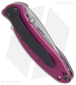 Kershaw Scallion Assisted Opening Knife Purple (2.25" Bead Blast) 1620PUR 7 Kershaw Scallion Assisted Opening Knife Purple (2.25" Bead Blast) 1620PUR -Knife Sale Shop Kershaw Scallion purple bb BHQ 14804 er side