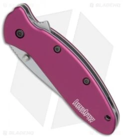 Kershaw Scallion Assisted Opening Knife Purple (2.25" Bead Blast) 1620PUR 8 Kershaw Scallion Assisted Opening Knife Purple (2.25" Bead Blast) 1620PUR -Knife Sale Shop Kershaw Scallion purple bb BHQ 14804 er spine