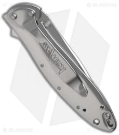 Kershaw Leek Assisted Opening Knife Polished (3" Polish) 1660SS 8 Kershaw Leek Assisted Opening Knife Polished (3" Polish) 1660SS -Knife Sale Shop kershaw leek 1660 ss back