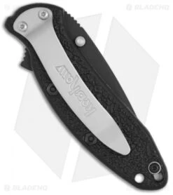 Kershaw Scallion Assisted Opening Knife Black GFN (2.25" Black) 1620BLK 5 Kershaw Scallion Assisted Opening Knife Black GFN (2.25" Black) 1620BLK -Knife Sale Shop kershaw scallion 1620 blk back bhq 6773 jr