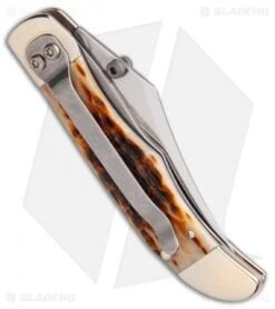 Case Kickstart Mid-Folding Hunter Assisted Knife Jigged Amber Bone (61265AC SS) 7 Case Kickstart Mid-Folding Hunter Assisted Knife Jigged Amber Bone (61265AC SS) -Knife Sale Shop ssisted Opener Amber Bone Peach Seed Jig Mid Hunter Clip BHQ 86045 er side